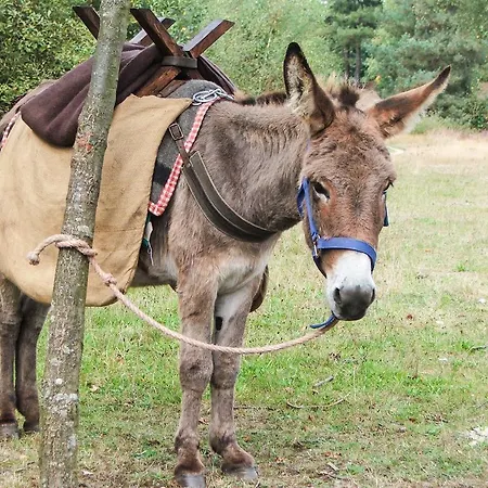 De Kreitsberg 3* Duifhuis