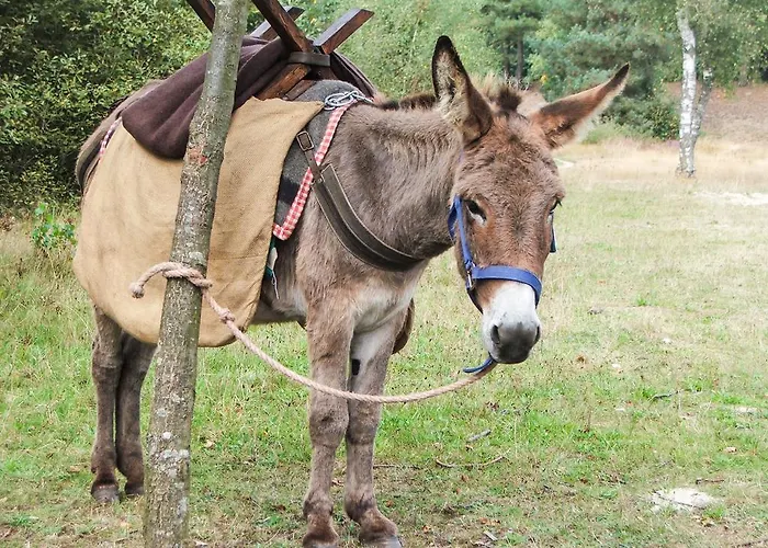 De Kreitsberg 3* Duifhuis