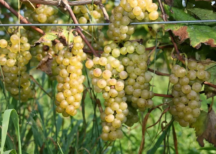 Bed and Breakfast De Kreitsberg Duifhuis